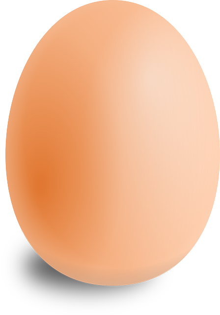 egg